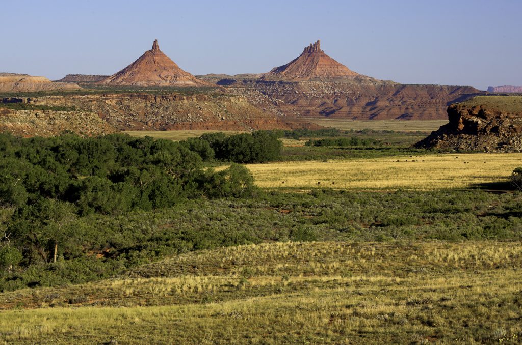 public lands